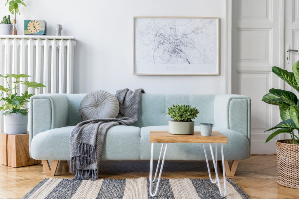 Ausschnitt eines Wohnbereichs mit einer grauen Couch mit Kissen und Decke, vor der ein gestreifter Teppich liegt, auf dem ein kleiner Tisch mit einer Pflanze steht. Drumherum befinden sich weitere Pflanzen auf einem hellen Holzboden sowie ein Bild an der weißen Wand.