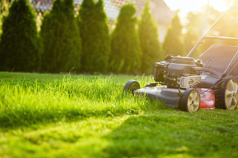 Gartenpflege im Mietverhältnis Worauf Vermieter achten