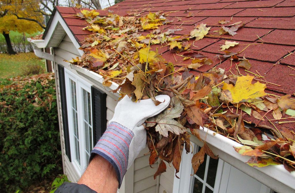Hand einer Person mit Gartenhandschuh haelt Blaetter, die aus der Dachrinne eines Hauses geholt wurden. In der Dachrinne und auf dem Busch neben dem Haus befinden sich weitere Blaetter. Das Haus hat ein rotbraunes Dach und eine weiße Fassade mit dunklen Fensterlaeden. Im Hintergrund sind weitere Baeume und eine Rasenflaeche zu sehen.