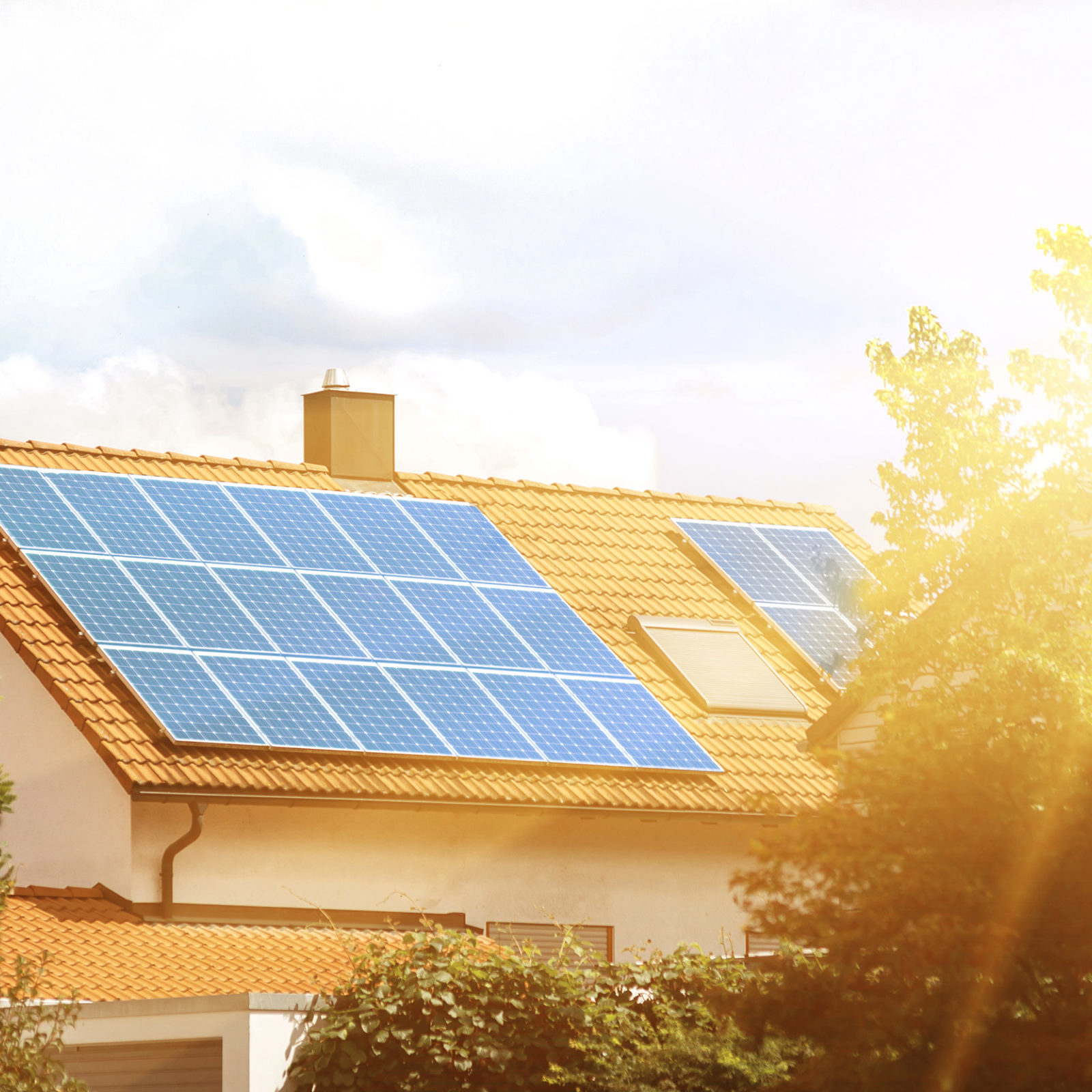 Warmes Sonnenlicht scheint auf ein Einfamilienhaus. Auf dem braunen Dach befindet sich eine Solaranlage und auf beiden Seiten befinden sich gruene Baeume.