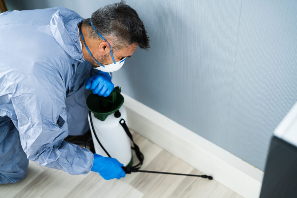Ungeziefer in der Wohnung: Mann mit kurzen grauen Haaren traegt einen hellblauen Schutzanzug, eine Atemmaske und blaue Handschuhe. Er kniet auf einem hellen Boden vor einer hellblauen Wand mit weissen Sockelleisten. Vor ihm steht der milchige Plastikbehaelter eines Druckspruehers, den er mit der linken Hand festhaelt. In der rechten Hand haelt er die Lanze und richtet die Duese auf die Flaeche zwischen Boden und Leiste.